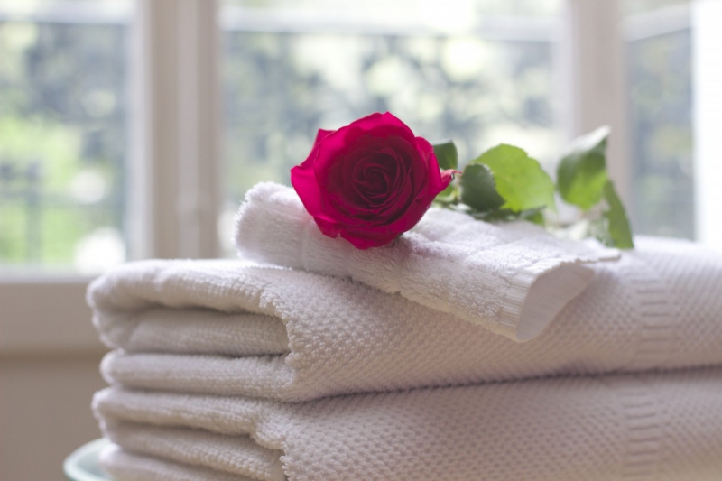 chambre-hote-ST ZACHARIE-min_towel_rose_clean_care_salon_spa_white_bath-731641